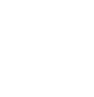Security Icon